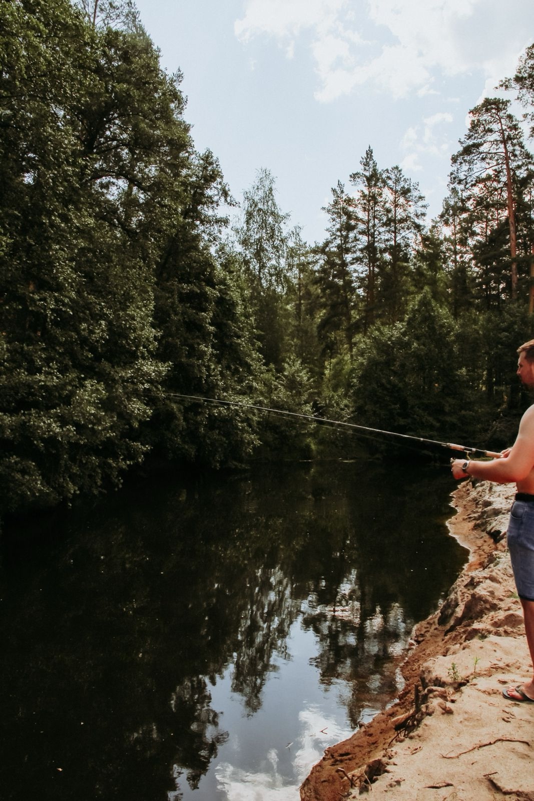 Тропа среди сосен рядом с озером